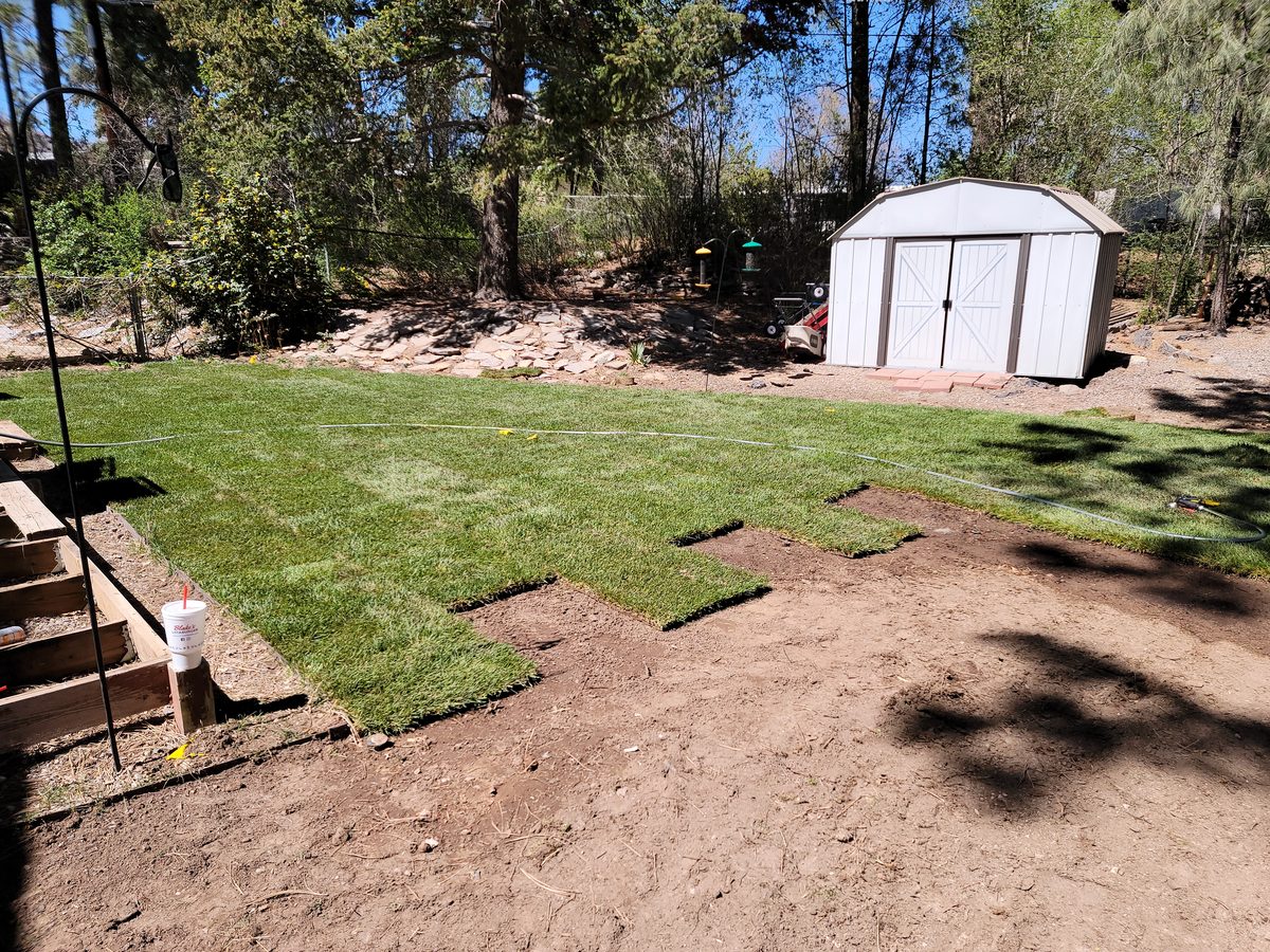 Sod installation