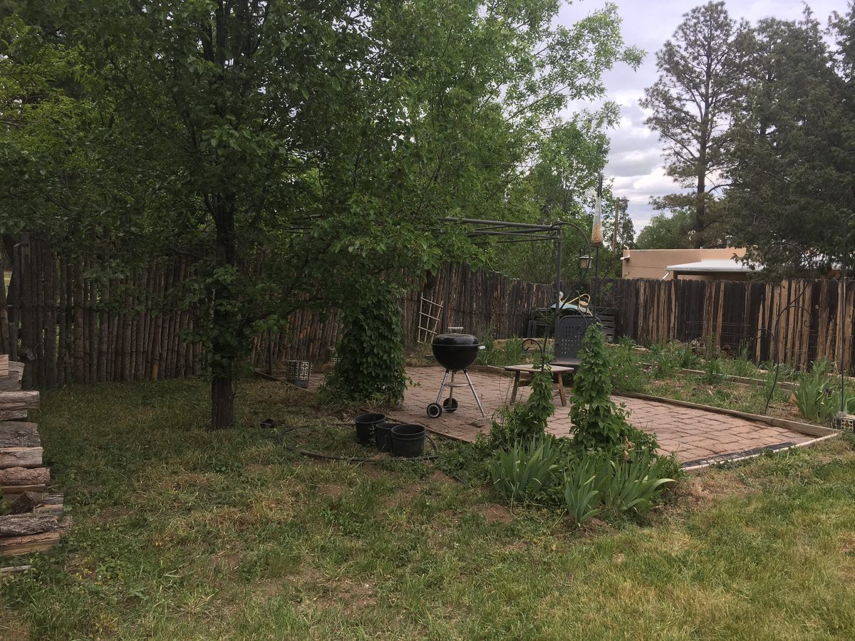 After - clean maintained yard