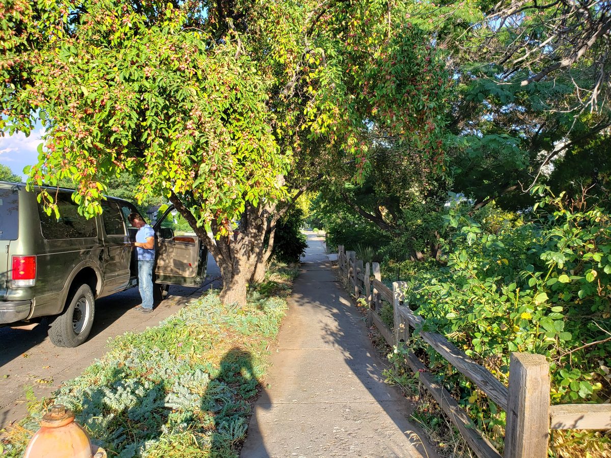 After - cleared walkway