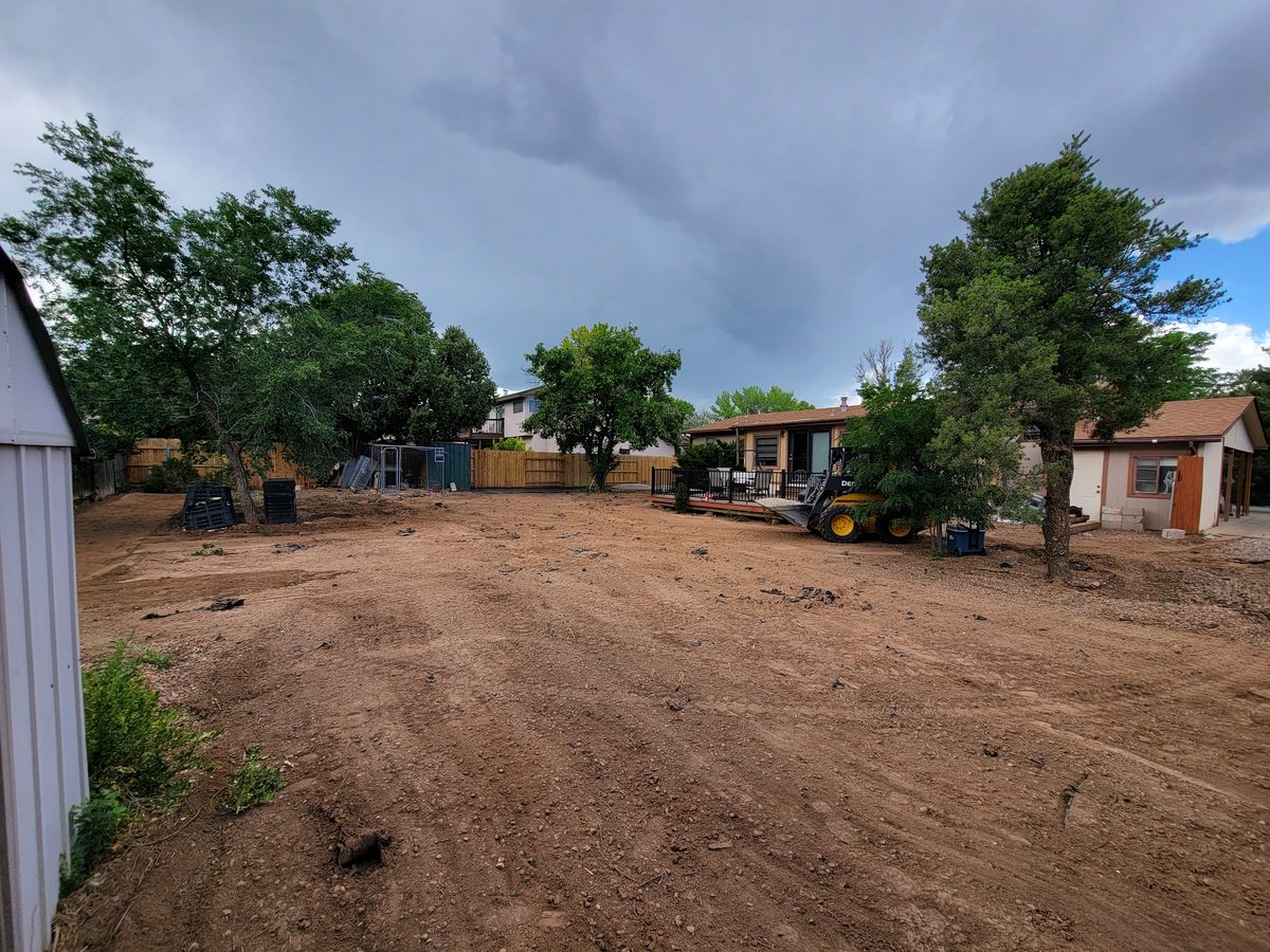 Before - bare dirt yard